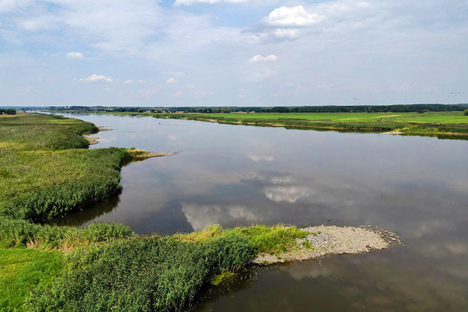 Der Fluss Oder in einer Landschaft mit grünen Wiesen - Foto: NABU/Volker Gehrmann