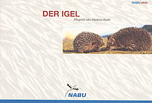 Broschüre, Ratgeber-Download, Buch, CD-ROM, Igel-Figuren