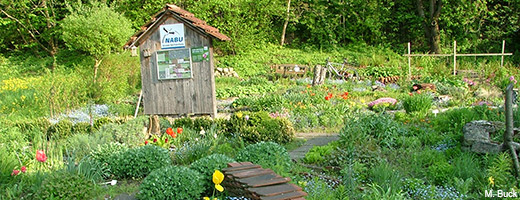 Der erste Platz geht an den wunderschönen Naturschaugarten des NABU Sachsenheim – ein Paradies für Bienen, Hummeln und Schmetterlinge.