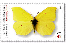 Briefmarke Zitronenfalter