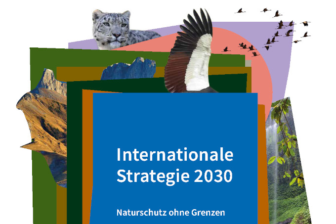 Internationale Strategie 2030, Vorschaubild - NABU