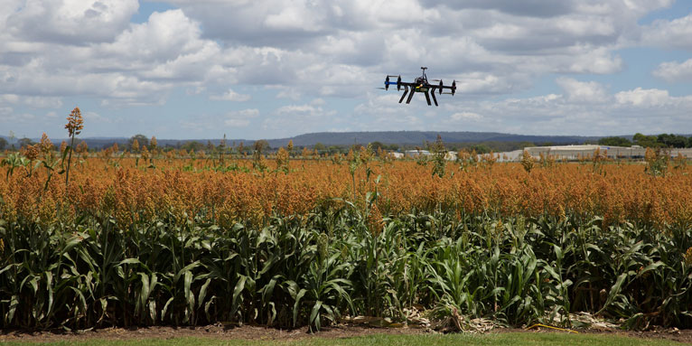 Bei &quot;Precision Farming&quot; werden Drohnen mit künstlicher Intelligenz zur Überwachung des Pflanzenbestandes eingesetzt. Foto: pixabay/clarrycola