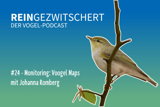 NABU-Vogelpodcast „Reingezwitschert“, Folge 24: Vogelmonitoring - Foto: NABU-naturgucker.de/Stefan Leimbach