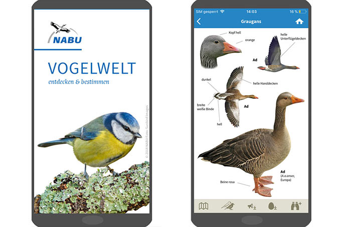 NABU-App „Vogelwelt“
