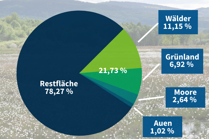 Flächenanteile von Gebieten in Deutschland mit hohem Renaturierungspotenzial - Grafik: NABU