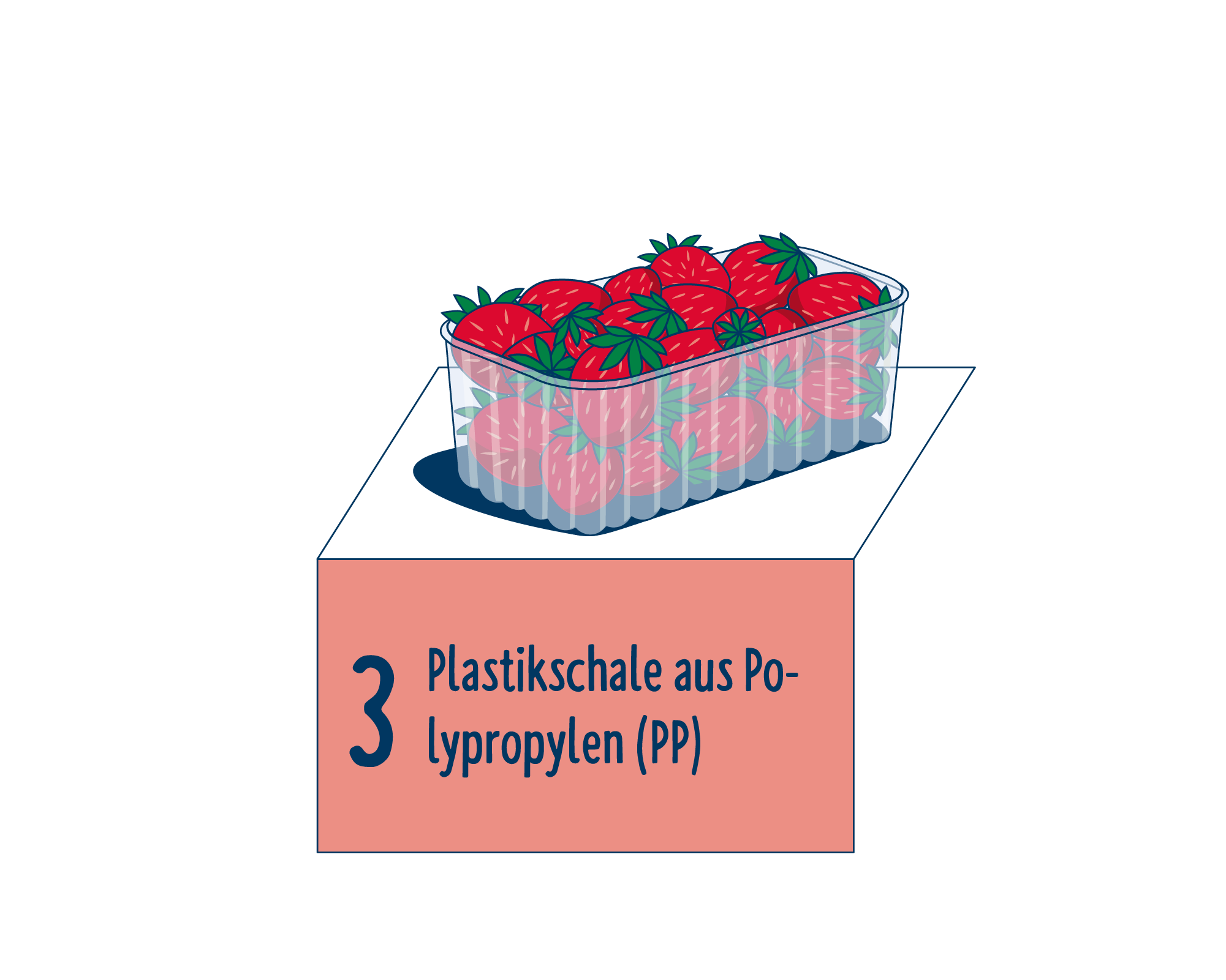Bild Produktverpackung von Obst & Gemüse: Schalen eingeordnet auf Platz 3, bestehend aus Plastikschale aus Polypropylen (PP).