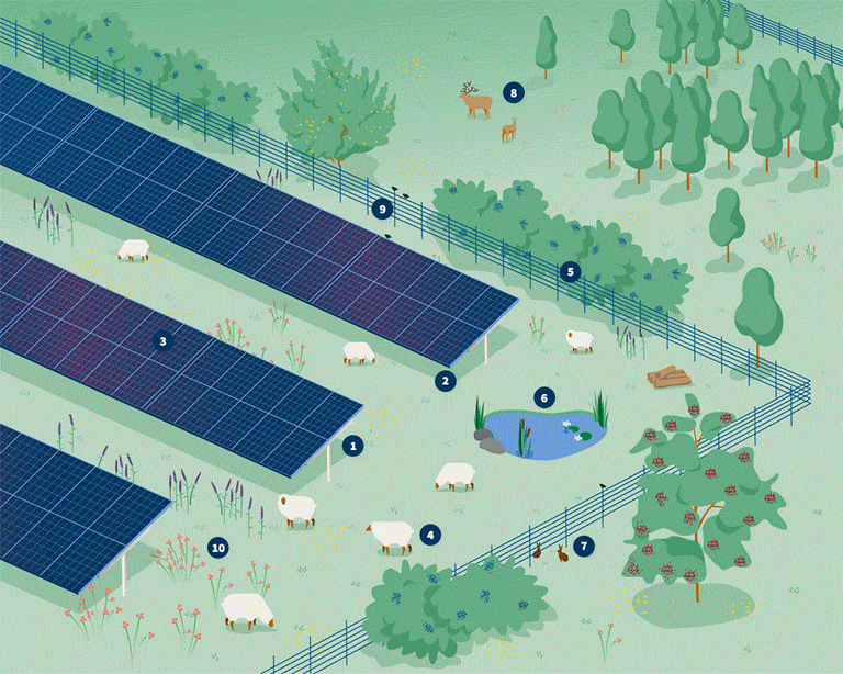 Animation als Anim-Gif eines interaktiven Bildes eines Solarparks, mit Punkten auf verschiedenen Elementen zum Anzeigen einer Infobox.