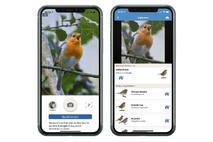 NABU-App Vogelwelt