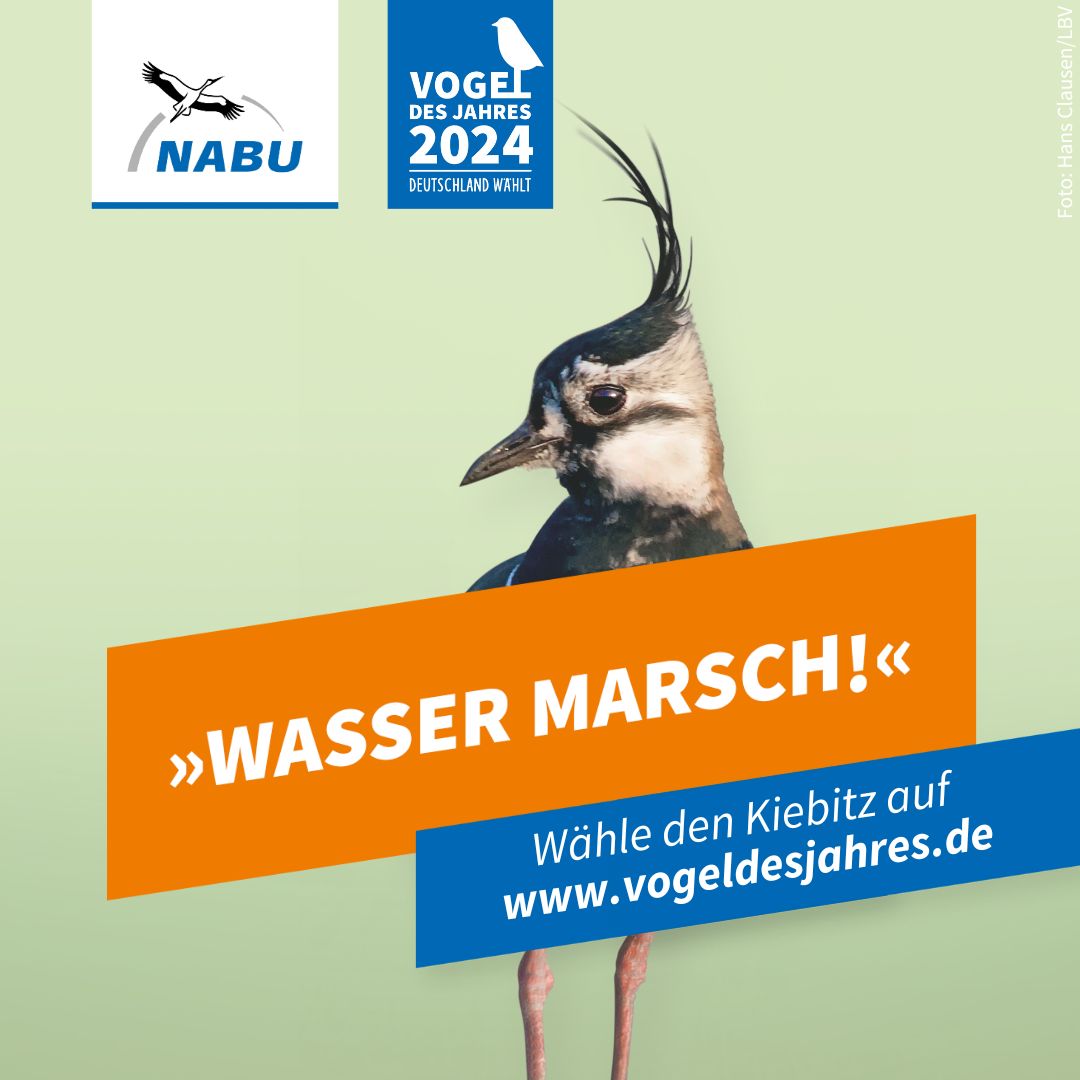 https://www.nabu.de/downloads/vdj/aktuell/Wahlplakate_Kiebitz.zip