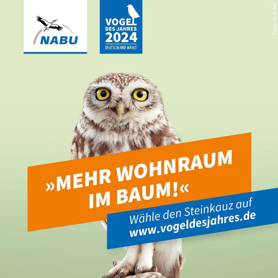 https://www.nabu.de/downloads/vdj/aktuell/Wahlplakate_Steinkauz.zip