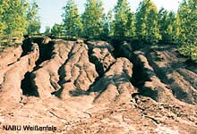 Erosionsrinne Tagebau Tomau