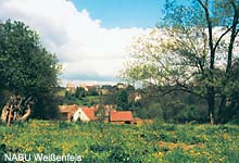 Landschaft bei Weißenfels
