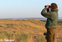 Vogelbeobachtung in Aserbaidschan