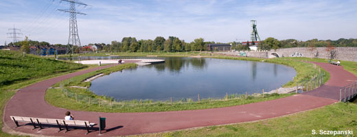 Der See lädt sowohl zu Spaziergängen als auch zum Joggen ein.