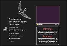 Screenshot Mauersegler-Webcam