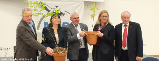 Symbolisch überreichen die Landesvorsitzenden des NABU Ulrich Heintz (Saarland) und Siegfried Schuch (Rheinland-Pfalz) den Umweltministerinnen eine junge Rotbuche.