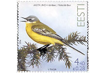 Schafstelzen-Briefmarke Estland