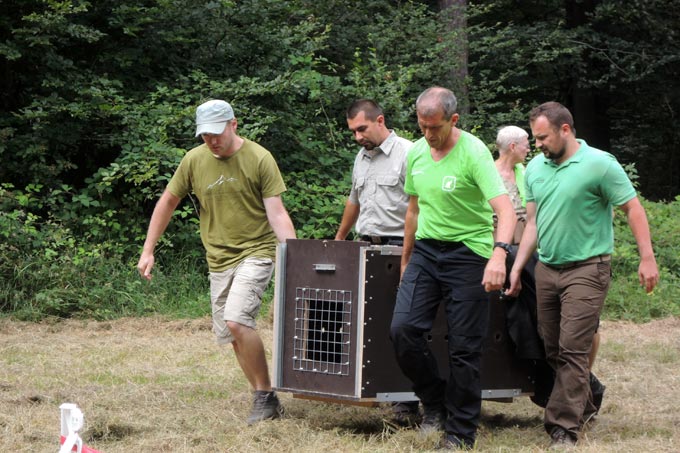 Mitarbeiter der Stiftung Natur und Umwelt Rheinland-Pfalz entladen die Transportboxen - Foto: Siegfried Schuch