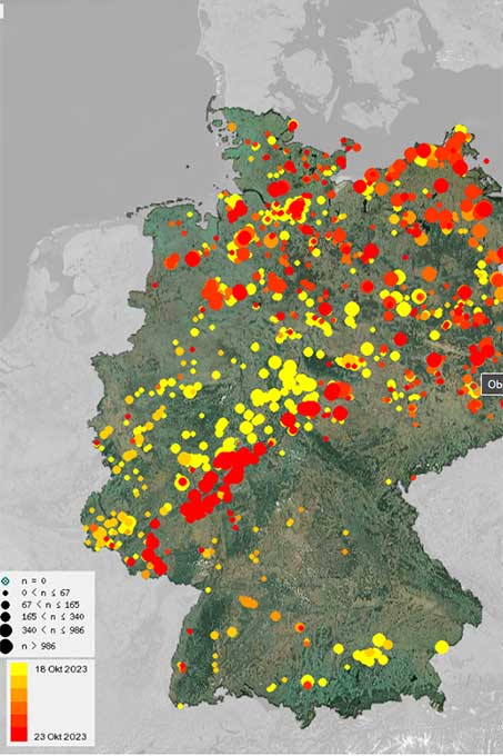 Beobachtete Kraniche vom 18. (gelbe Punkte) bis zum 23. Oktober (rote Punkte), mit sturmbedingter Pause (wenig orangene Punkte) - Screenshot: Ornitho.de/DDA (24. Oktober)