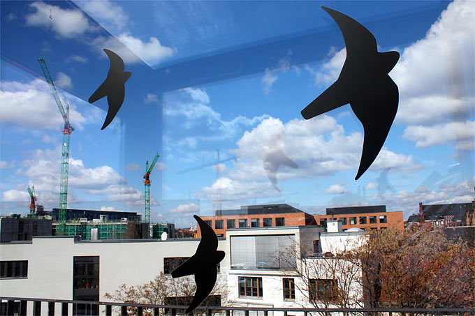 Kaum nützlich: Glasfront mit Greifvogelsilhouette - Foto: Helge May