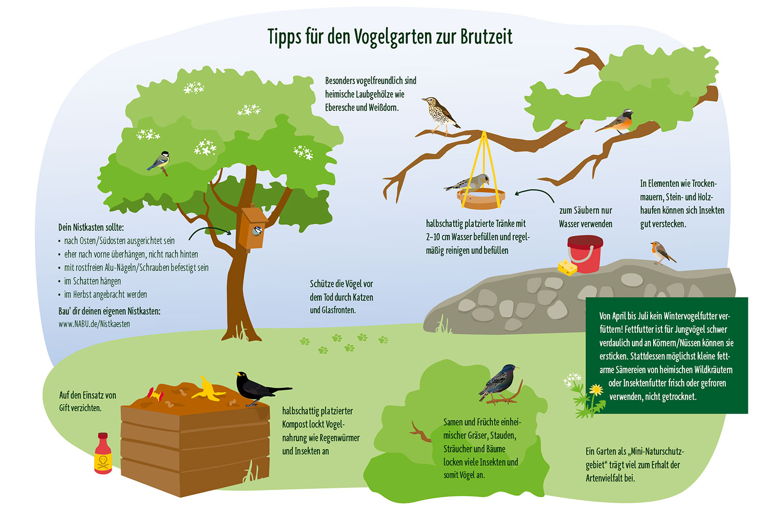 Wildvögel füttern: Infos & Tipps zur Ganzjahresfütterung