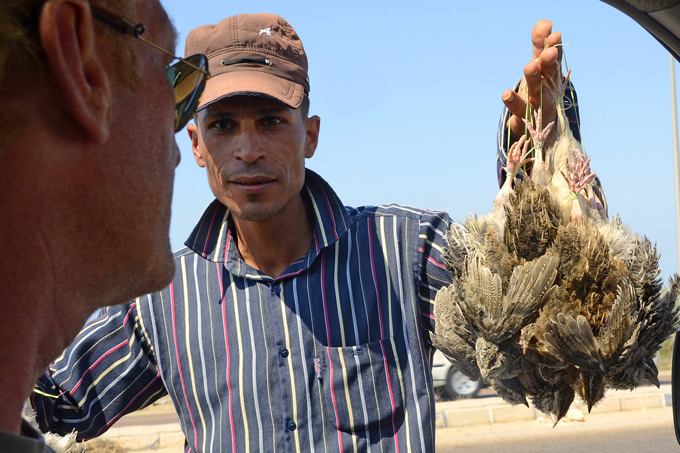 Vogelmord in Ägypten - Foto: J.-U. Heins