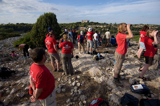 Vogelschutzcamp auf Malta - Foto: Birdlife International