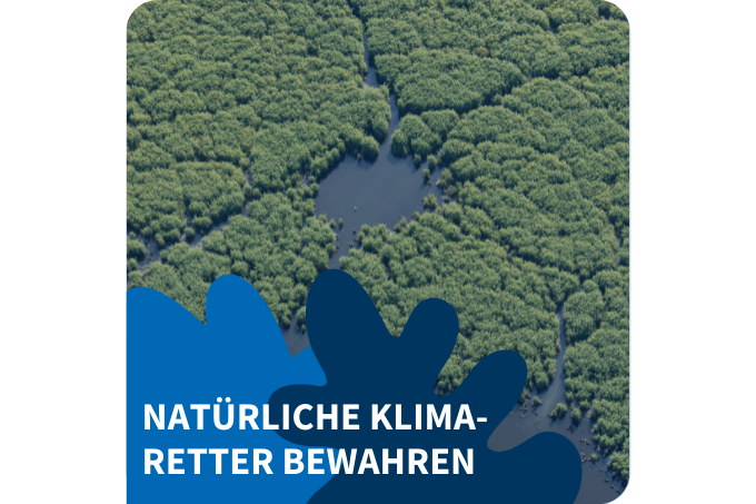 NABU-Kernforderung: Natürliche Klimaretter bewahren. - Foto: NABU/Klemens Karkow