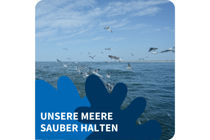 NABU-Kernforderung: Unsere Meere sauber halten. - Foto: NABU/Philip Scholl