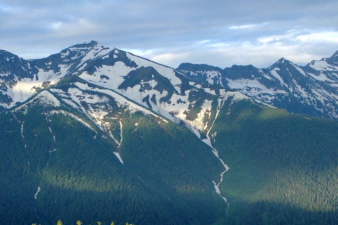 Die Berghänge im Kaukasus sind von dichtem Wald bedeckt