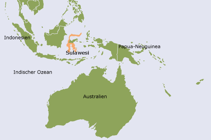 Das Verbreitungsgebiet des Sulawesi-Maki
