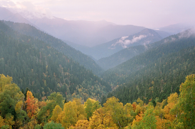 Waldbedeckte Berge im Kaukasus
