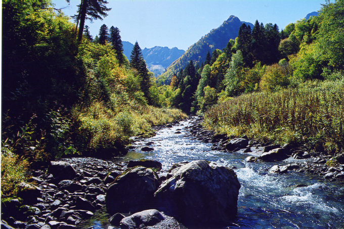 Fluss im Kaukasus