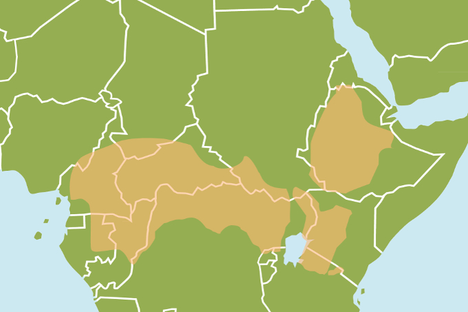 Karte des Verbreitungsgebiet des Mantelaffen