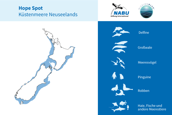 Hope Spot - Neuseelands Küstenmeere - Foto: NABU