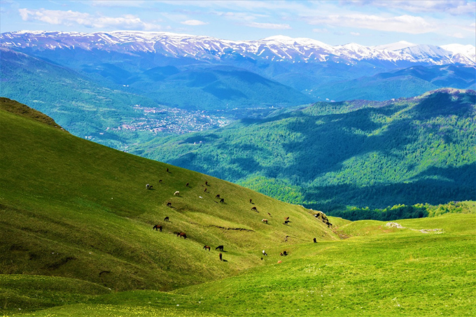 Einzigartige Natur in Armenien, Teil des „Biodiversitäts-Hotspot Kaukasus". – Foto: NABU Armenien