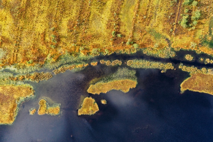 Moor-Luftaufnahme im Słowinski Nationalpark in Polen. - Foto: Volker Gehrmann