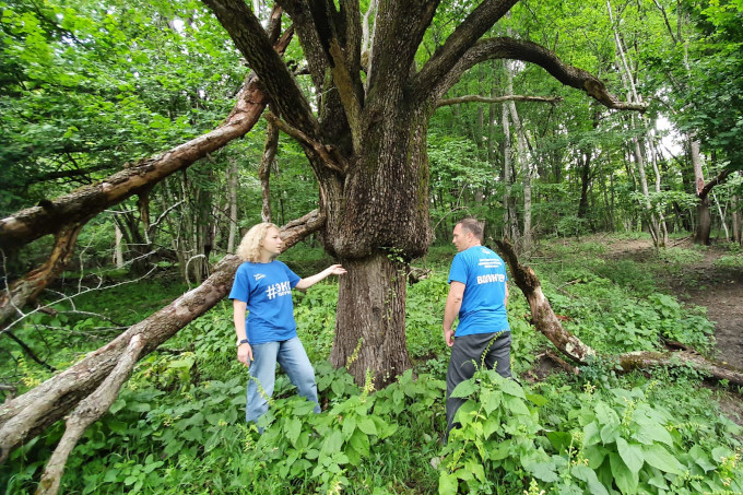 Kulturgut und Lebensraum zugleich: die alten Obstbaum-Riesen der tscherkessischen Streuobstwälder - Foto: NABU-Kavkaz
