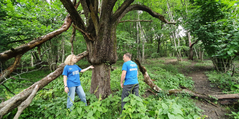 Kulturgut und Lebensraum zugleich: die alten Obstbaum-Riesen der tscherkessischen Streuobstwälder - Foto: NABU-Kavkaz