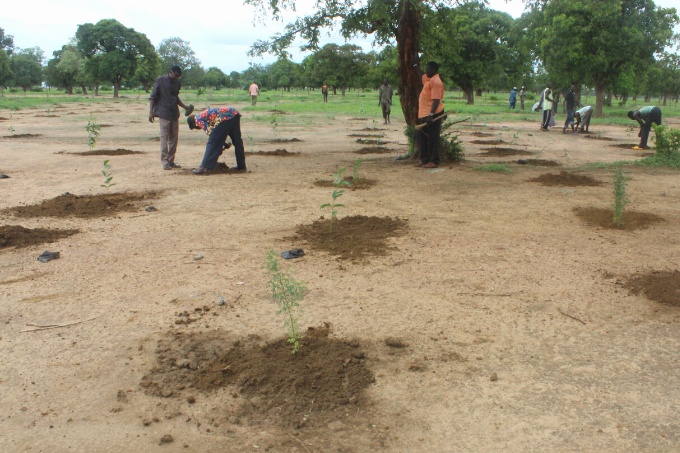 Die Anpflanzung einheimischer Baumarten stärkt die Klimaresistenz von Ökosystemen: Im Projektgebiet in Burkina Faso, das von Wüstenbildung bedroht ist, können so landwirtschaft-<p>liche Erträge und die Existenzgrundlange gesichert werden - Foto: Fondation NATURAMA