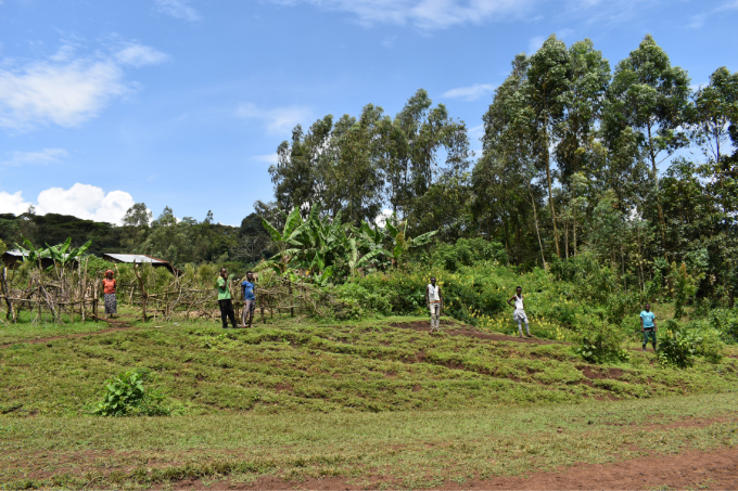 Das Yayu-Biosphärenreservat ist ein seltenes afromontanes Waldgebiet, in dem wilder Arabica-Kaffee wächst - Foto: NABU / Jonathan Böcker