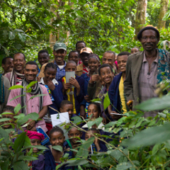 In Äthiopien setzt sich der NABU zusammen mit lokalen Initiativen für den Erhalt der Bergnebelwälder ein, dem Heimatland des beliebten Arabica-Kaffees - Foto: Angelika Berndt