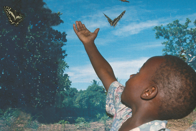 Ein Junge erkundet die Schmetterlingsfarm in Kenia