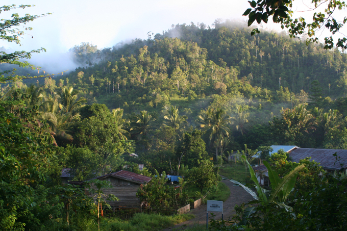 In Gorontalo gibt es einen der artenreichsten Wälder der Erde. - Foto: Barend van Gemerden / Vogelbescherming NL