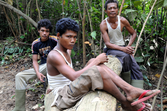 Ehemalige Holzfäller arbeiten nun für den Schutz des Harapan-Regenwaldes