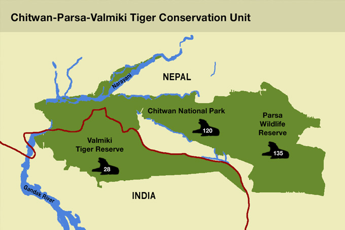 Die Karte zeigt wie viele Tiger in Valmiki und in den angrenzenden Reservaten leben.