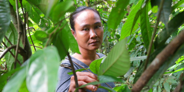 Bi Teguh gehört zur indigenen Gruppe der Batin Sembilan und lebt wie ihre Vorfahren im indonesischen Regenwaldgebiet Hutan Harapan. - Foto: Foto: Ardi Wijaya