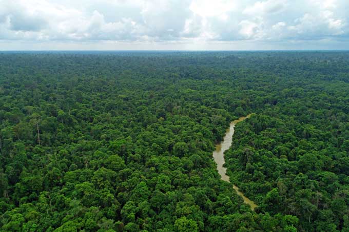 Hutan Harapan von der Luft - Foto: NABU / Forest Protection Team Hutan Harapan