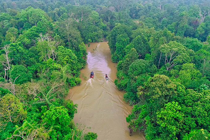 Blick von oben: Ein Teil des 100.000 Hektar großen Waldgebiets Hutan Harapan im indonesischen Regenwald. - Foto: Saparudin