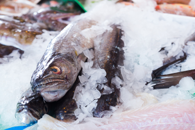 Der Hoki, auch Blauer Seehecht genannt, ist ein in neuseeländischen Gewässern gefischter Tiefseefisch, der in großen Mengen auch nach Deutschland verkauft wird - Foto: shutterstock/Iakov Filinonov